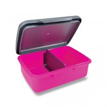 Svačinový box Zdravá sváča fialový fluo/ šedý (barva nerezu)